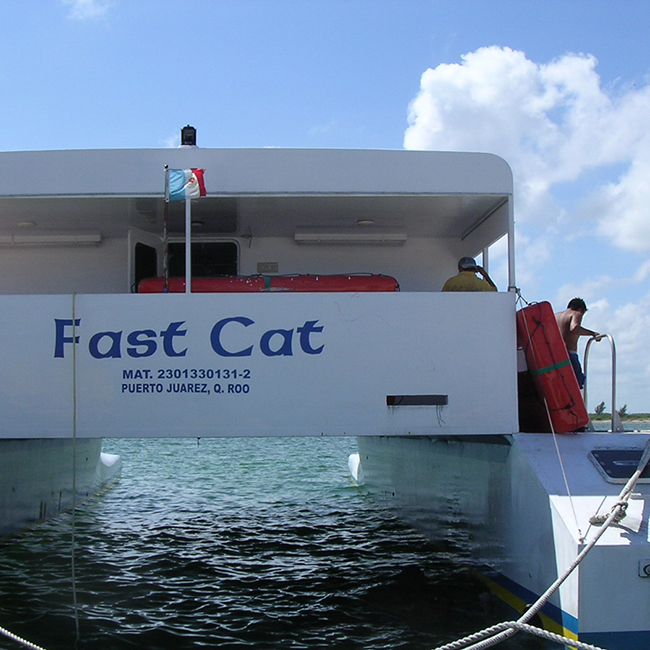 http://fastcat-10